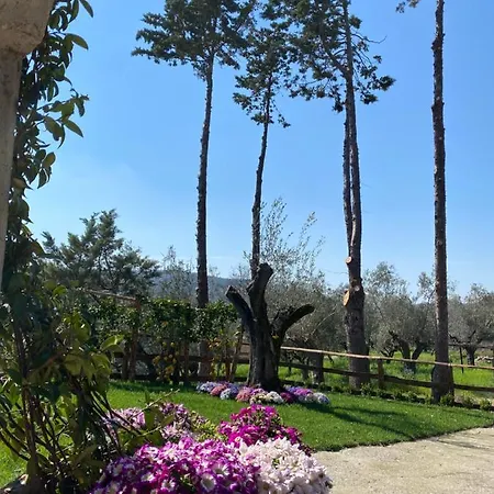 Casa Vacanza Capozzoli Albanella Exterior photo