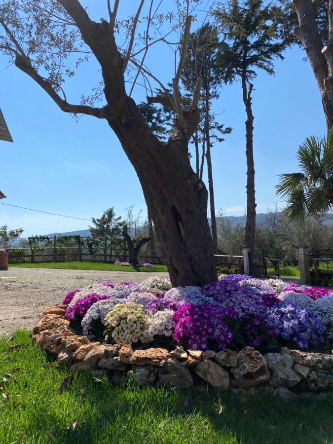 Casa Capozzoli Holiday home Albanella